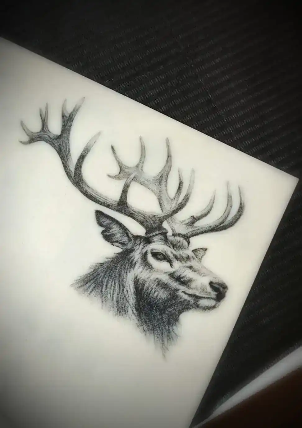 Tattoo Kurs - Christina's Hirsch Microrealismus in der Tattoo Ausbildung