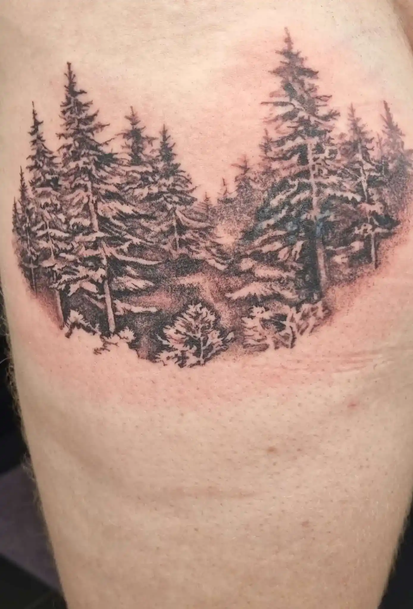 Tattoo Coaching - Anette's Wald Motiv Whip-shading Technik lernen