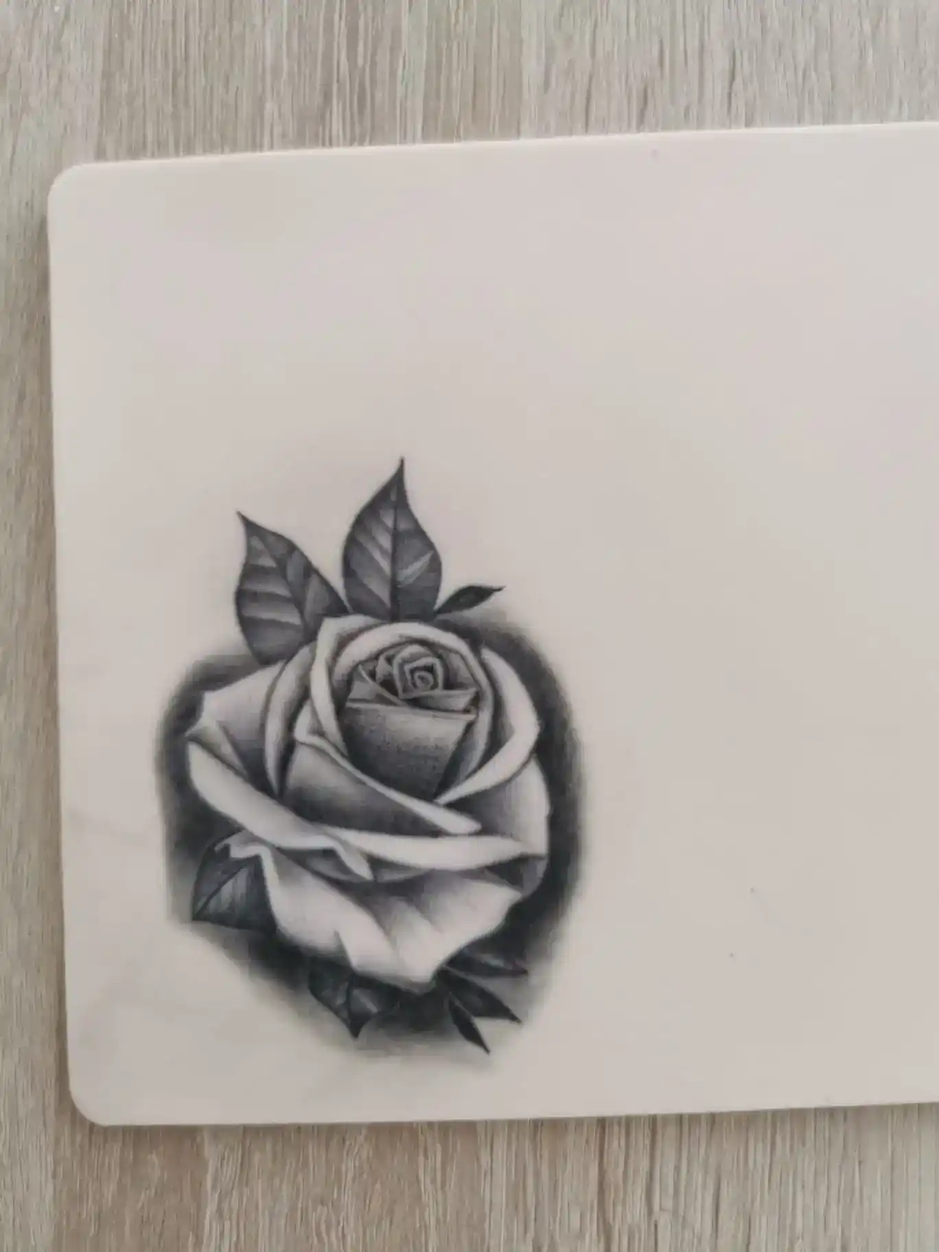 Tattoo Training - Franziska's Rose auf Kunsthaut im Tattoo Kurs
