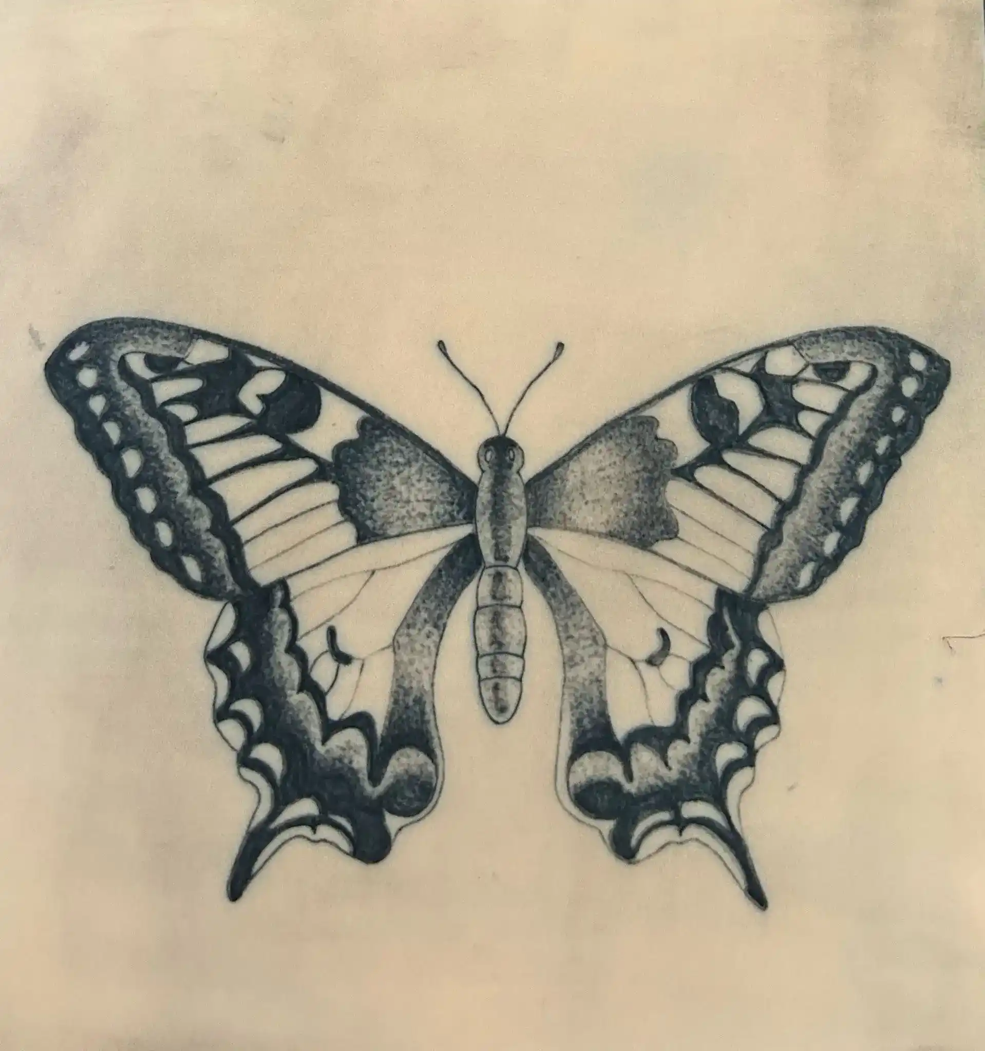 Tattoo Workshop - Malte's Schmetterling auf Kunsthaut im Tattoo Training