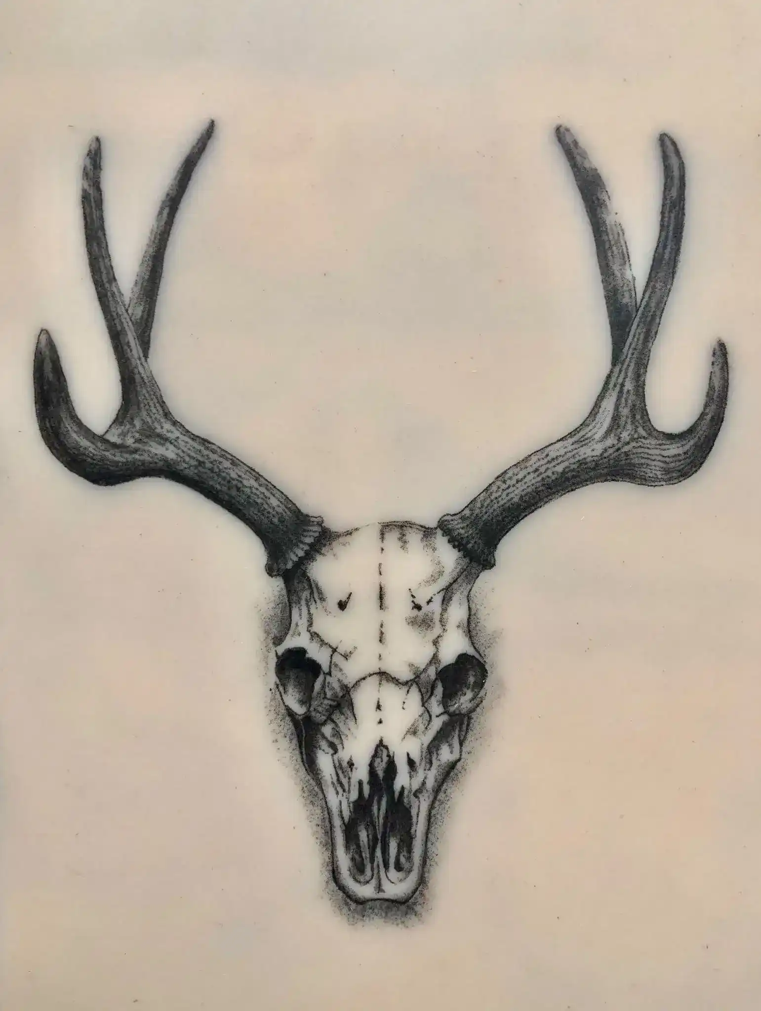 Tätowieren lernen - Tom's Hirsch Fineline Design beim Tattoo Coaching